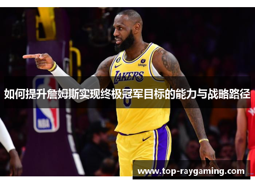 如何提升詹姆斯实现终极冠军目标的能力与战略路径