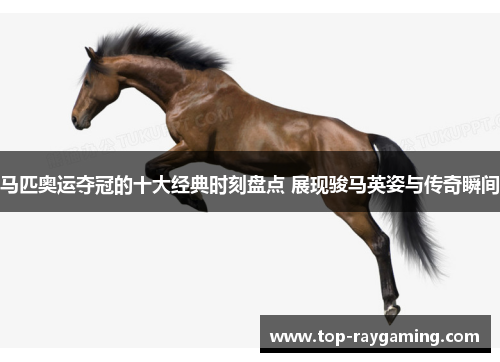 马匹奥运夺冠的十大经典时刻盘点 展现骏马英姿与传奇瞬间