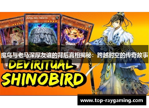 魔鸟与老马深厚友谊的背后真相揭秘:跨越时空的传奇故事 魔鸟与老马深厚友谊的背后真相揭秘:跨越时空的传奇故事