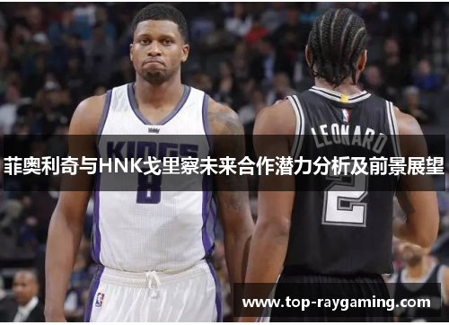 菲奥利奇与HNK戈里察未来合作潜力分析及前景展望 菲奥利奇与HNK戈里察未来合作潜力分析及前景展望