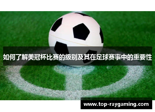 如何了解美冠杯比赛的级别及其在足球赛事中的重要性